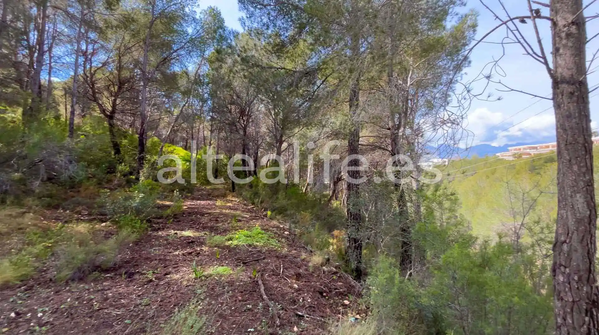 Terreny residencial en venda a Calle Erica