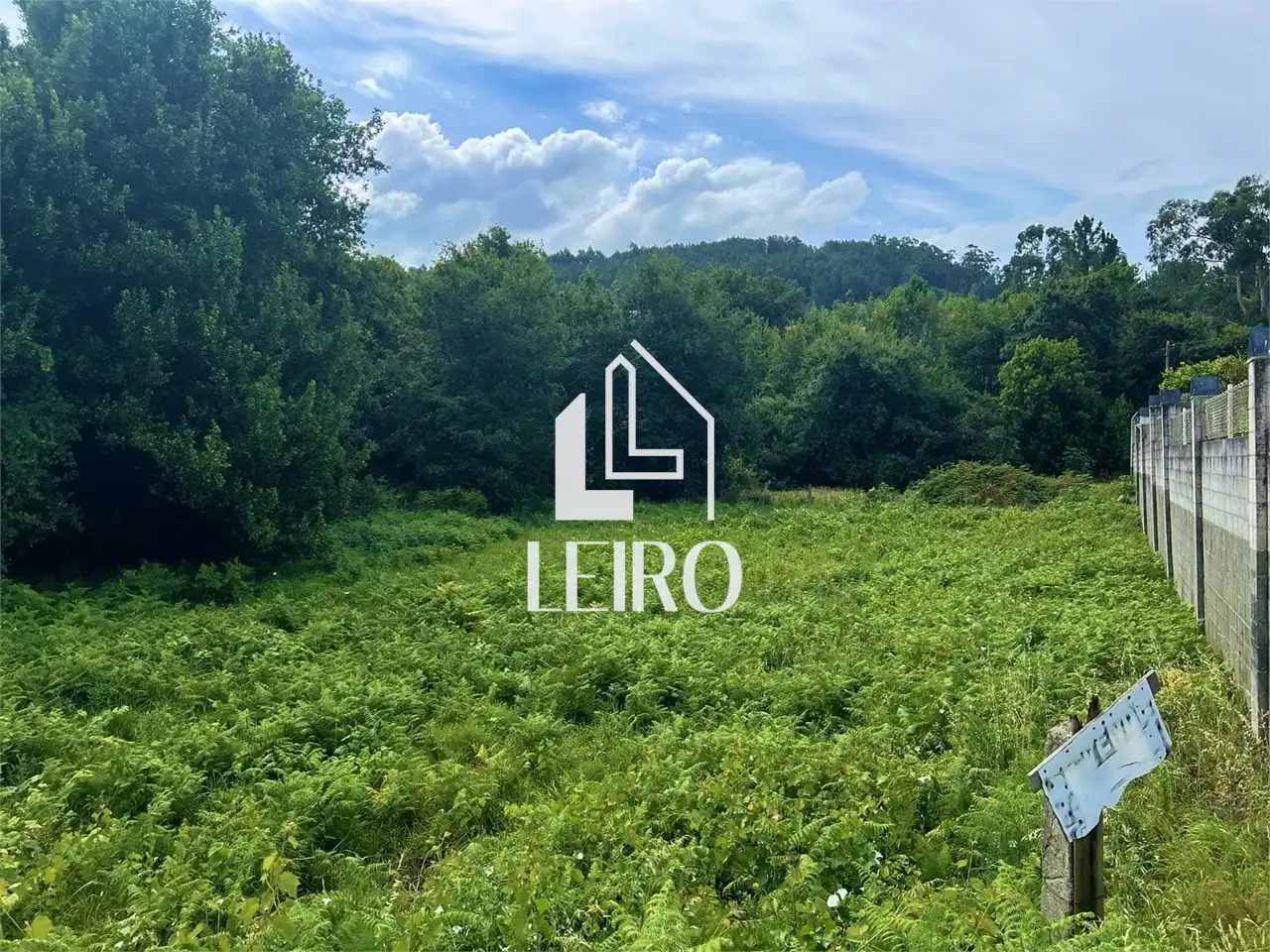 Terreno rustico in vendita a Bamio, imagen 4