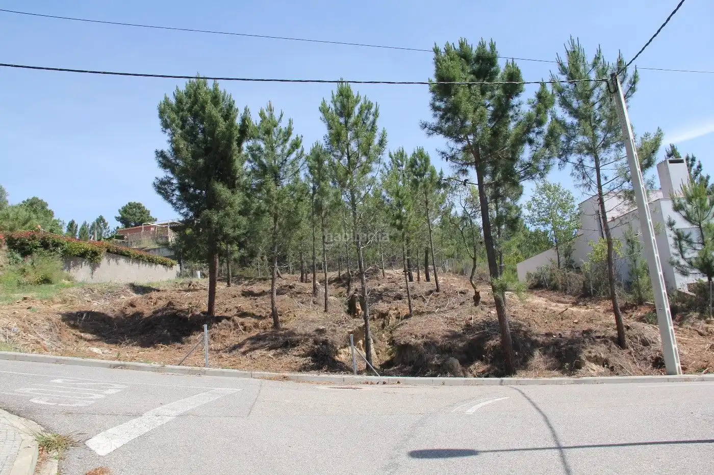Terreny residencial en venda a Carrer de la Guatlla 24, imagen 7