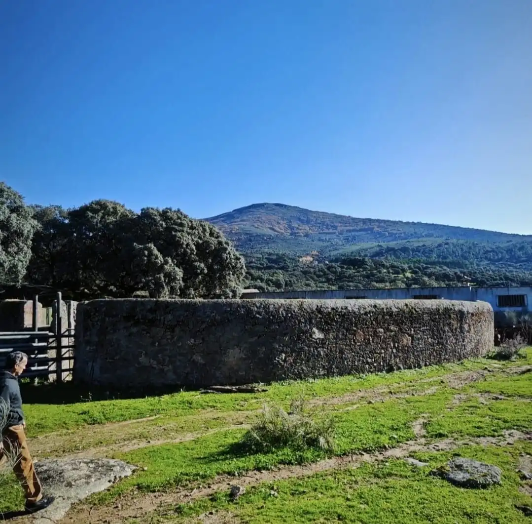 Vista exterior de Terreno en venta en Navamorcuende