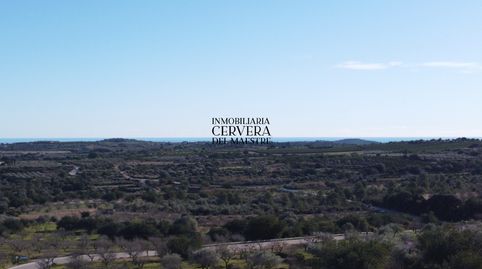 Foto 3 de Finca rústica en venda a Cervera del Maestre, Castellón