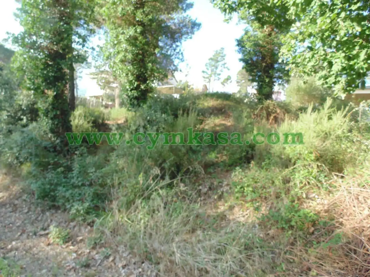 Terreno rústico en venta en Residencial Park, imagen 2