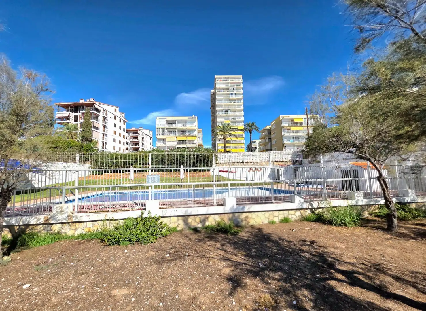 Mini appartamento con terrazza in affitto a Avenida FERRANDIS SALVADOR, imagen 15