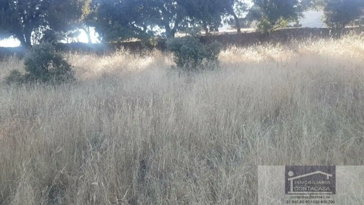 Finca rústica en venta en Colmenar Viejo
