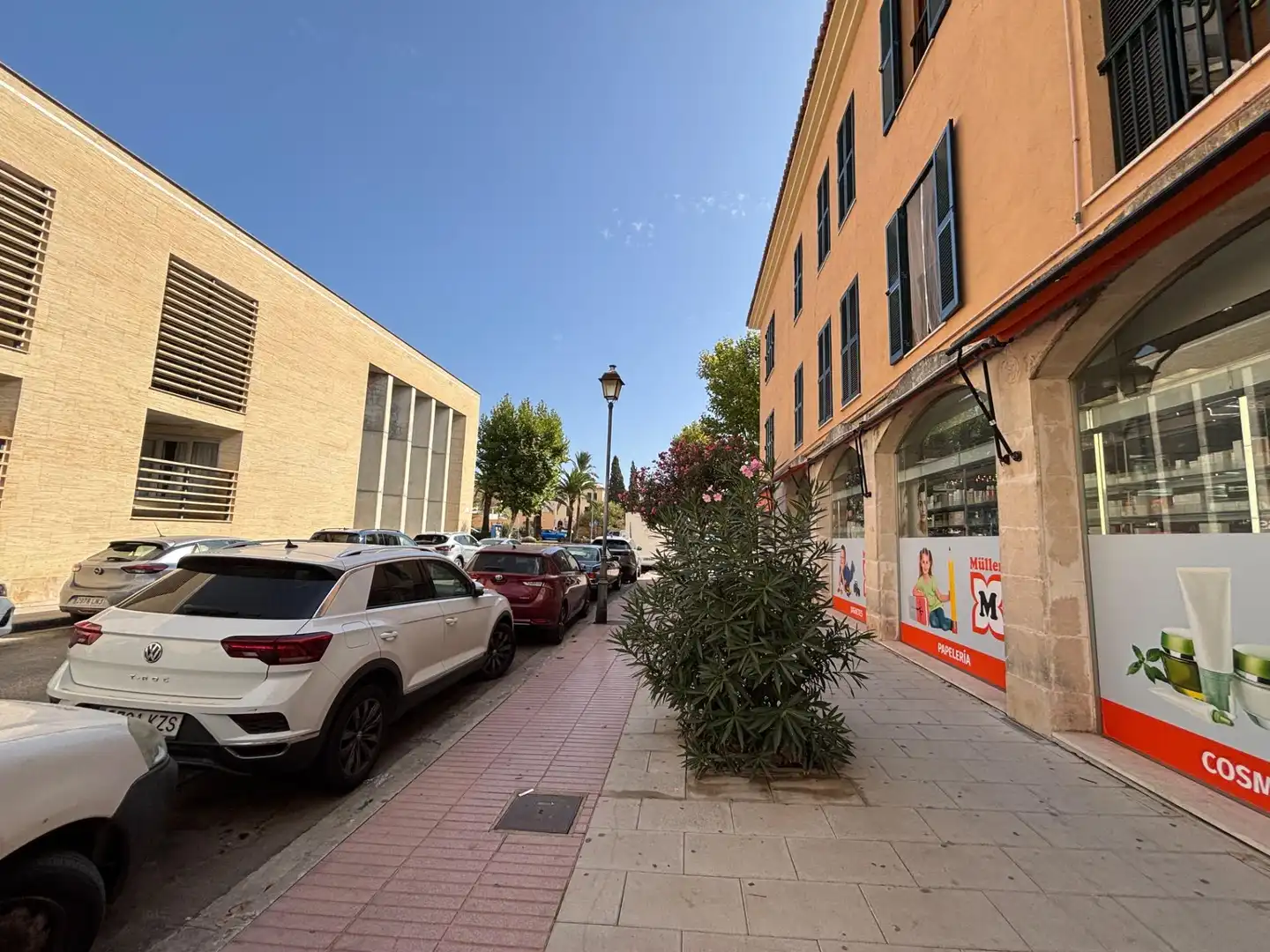 Business premises for sale in AGUSTIN ARGUELLES, imagen 3
