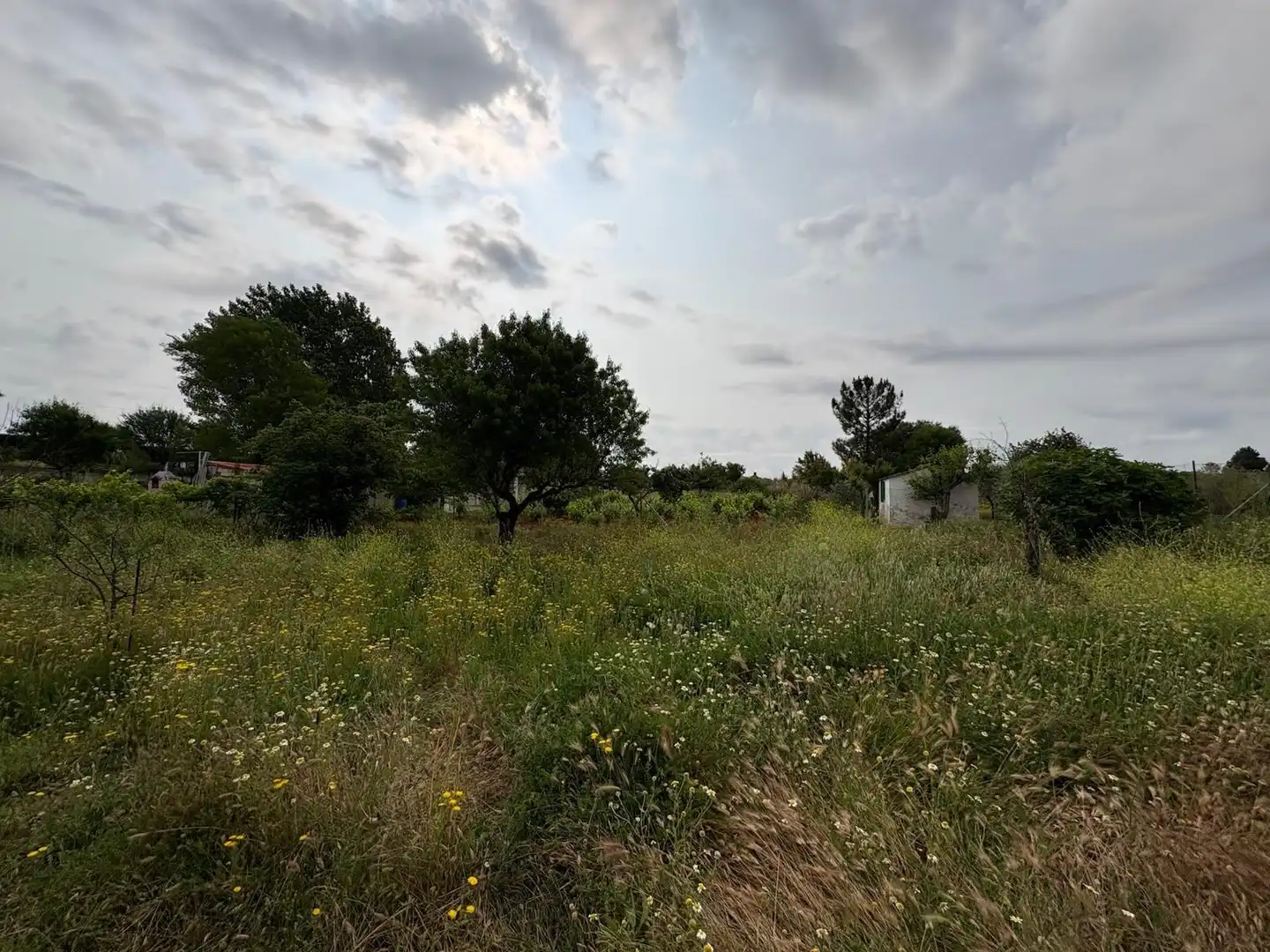 Casa o xalet en venda en Pioz amb Calefacció, Jardí privat i Traster