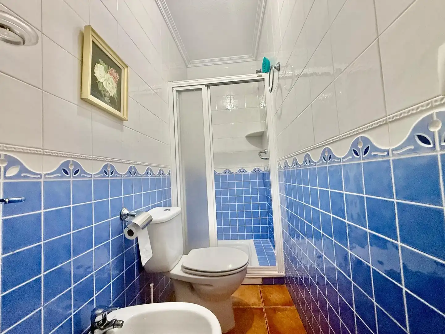 Baño de Casa o chalet en venta en Torre de la Horadada