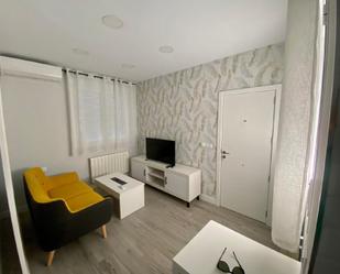 Living room of Flat to rent in Plasencia  with Air Conditioner, Heating and Furnished