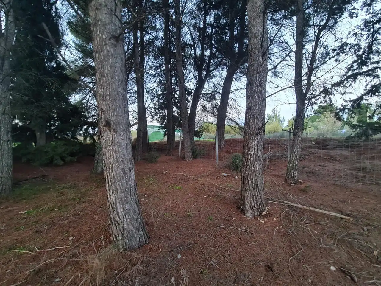 Terreny residencial en venda a B Cerdera Alta, 7, imagen 5
