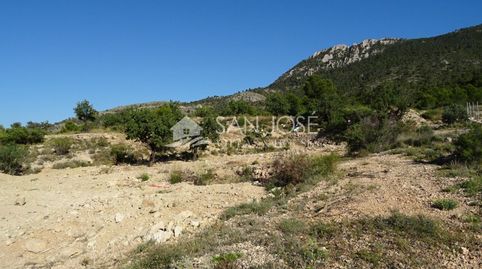 SE VENDE TERRENO RUSTICO AL PIE DE LA MONTAÑA EN HONDON DE LAS NIEVES, imatge 4