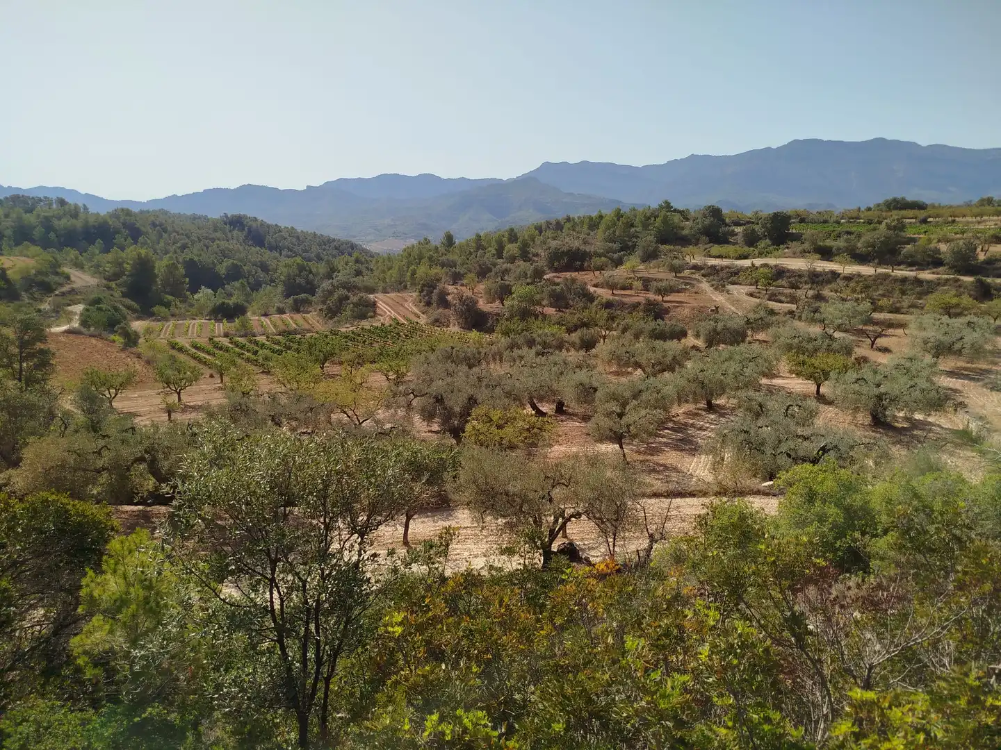 Rural land for sale in Horta de Sant Joan, imagen 13