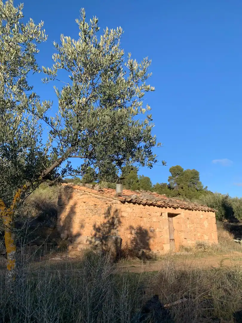 Terreno rustico in vendita a Juncosa, imagen 6