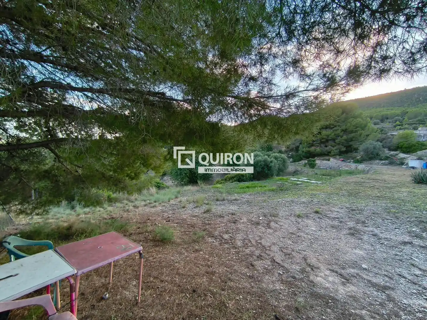 Terreno rústico en venta en Albinyana, imagen 2