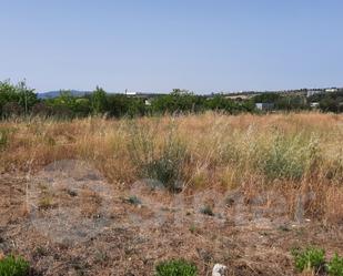 Terreny industrial en venda en Les Franqueses del Vallès