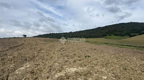 Foto 5 von Grundstücke zum Verkauf in Vejer, Vejer de la Frontera
