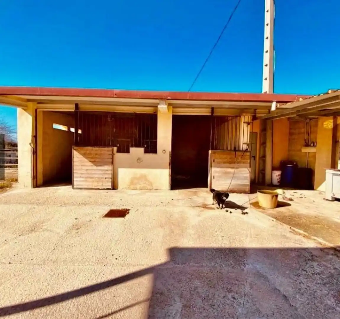 Vista exterior de Casa o xalet en venda en Albaida amb Aire condicionat, Jardí privat i Traster
