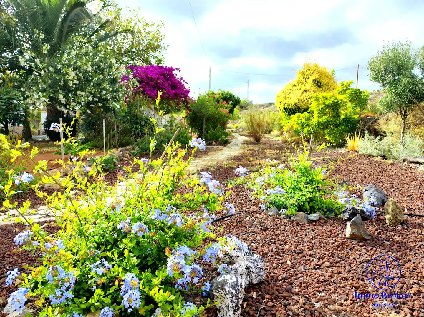 Jardí de Finca rústica en venda en Guía de Isora amb Aire condicionat, Jardí privat i Traster