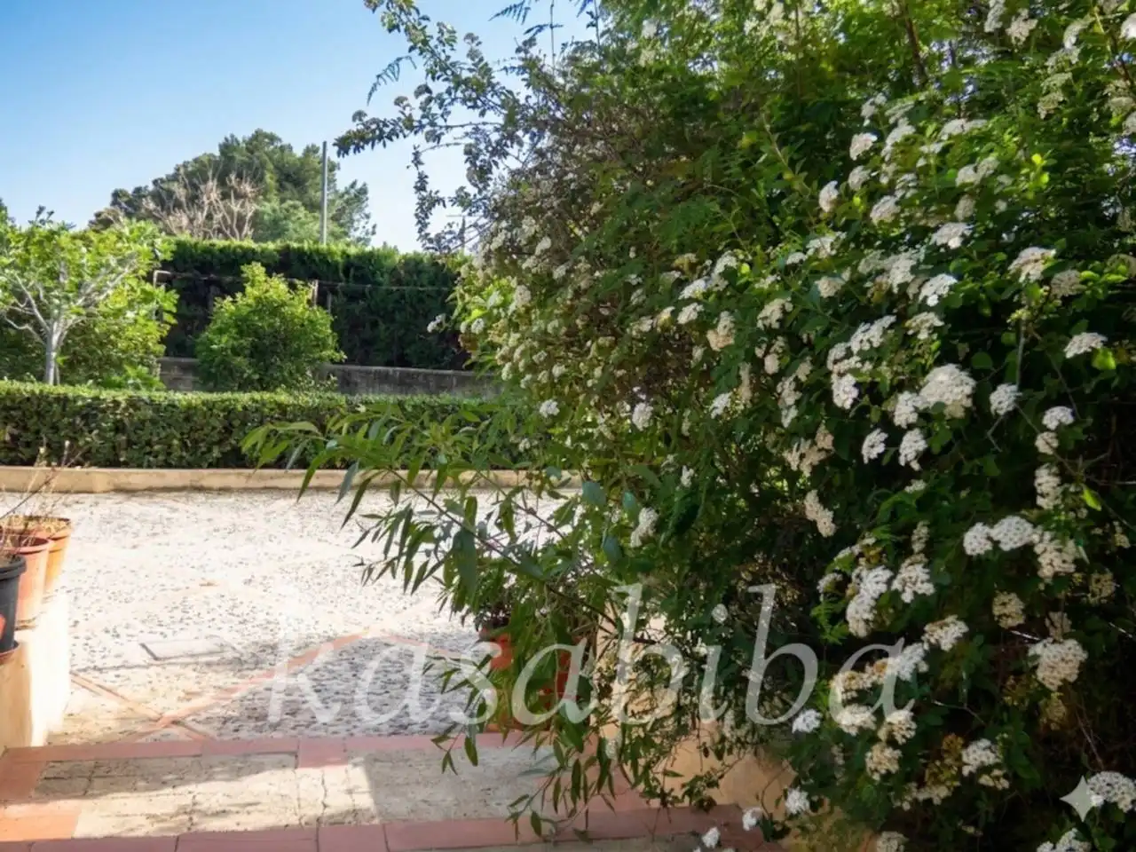 Jardín de Casa o chalet en venta en Náquera con Jardín privado, Terraza y Piscina