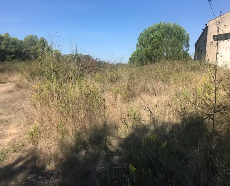 Terreno residencial en venta en Proc. Simplificado, imagen 2