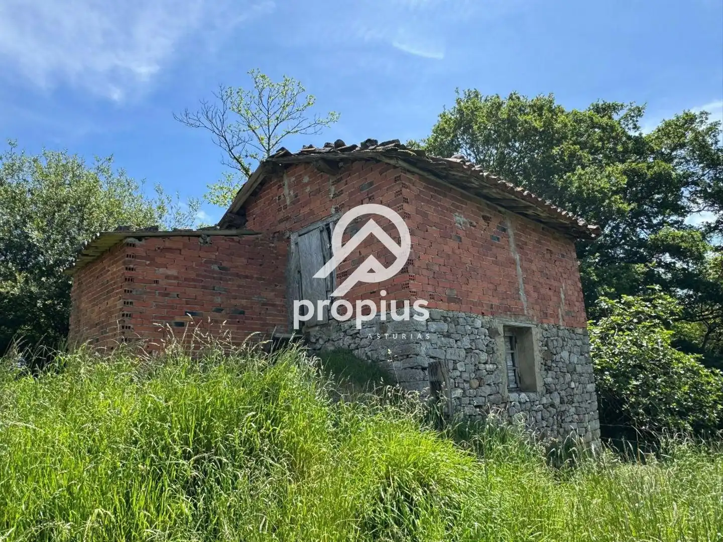 Rural land for sale in ARRIONDAS, imagen 7