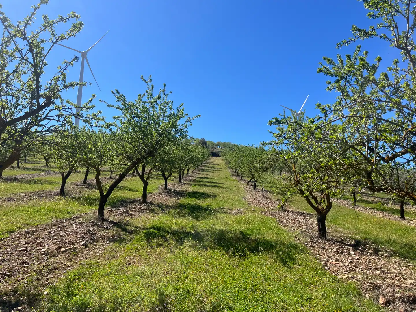 Rustikales Grundstück zum Verkauf in Camino de la Sierra, imagen 12
