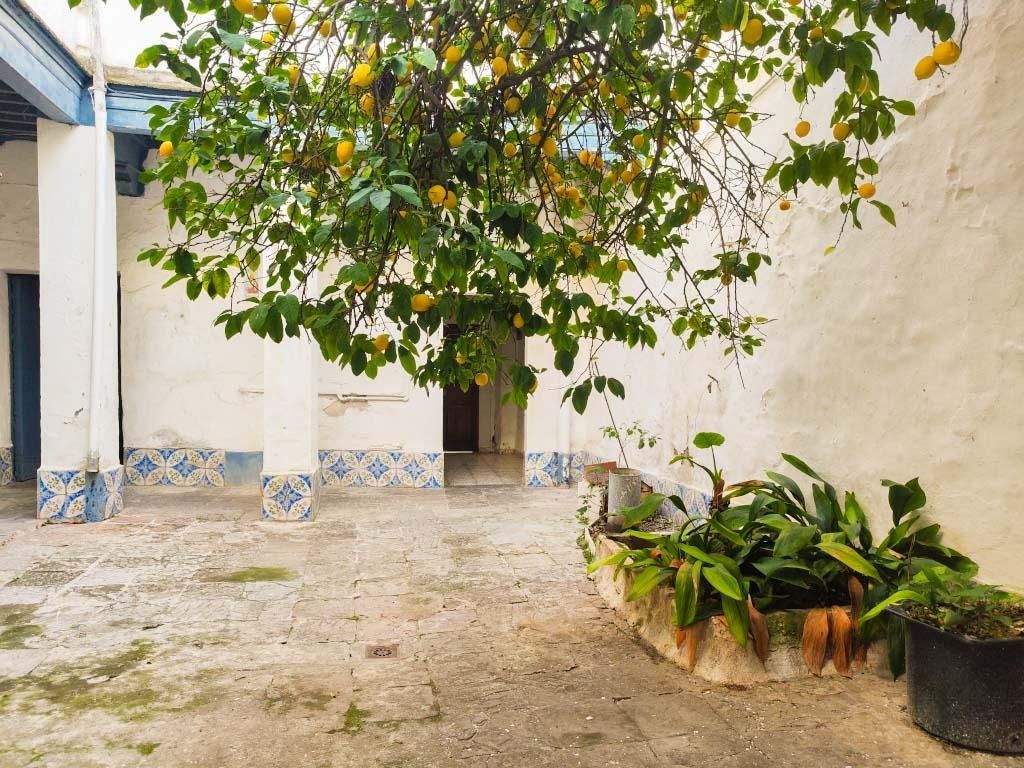 Vista exterior de Casa o chalet en venta en Chiclana de la Frontera con Terraza, Trastero y Balcón