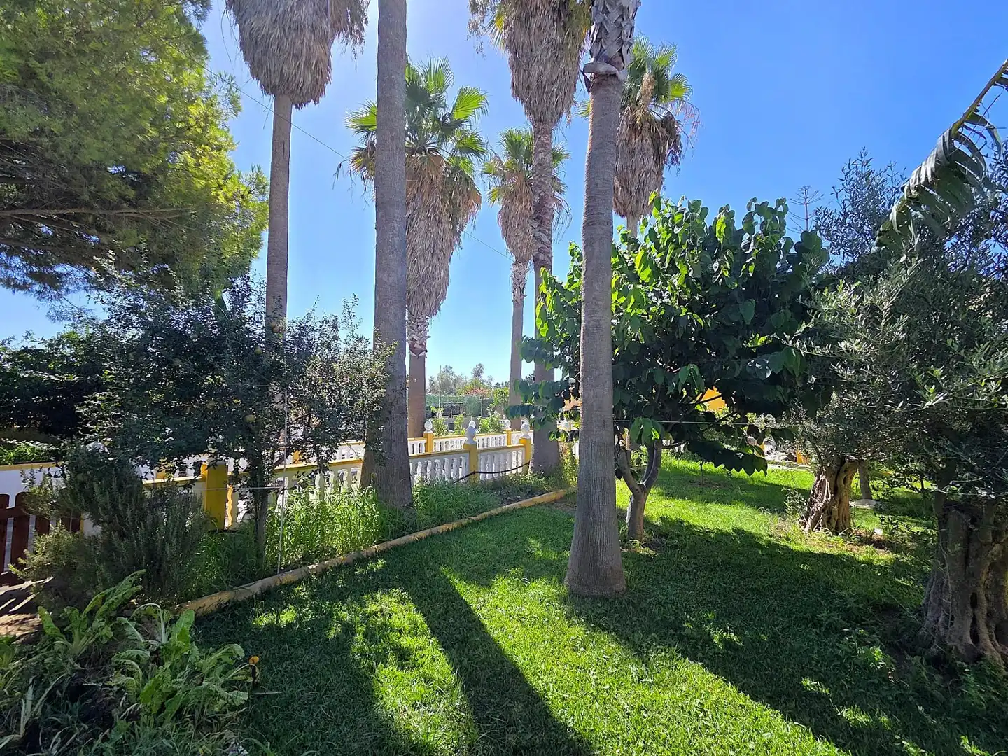 Außenansicht von Haus oder Chalet zum Verkauf in Chiclana de la Frontera mit Privatgarten, Abstellraum und Schwimmbad