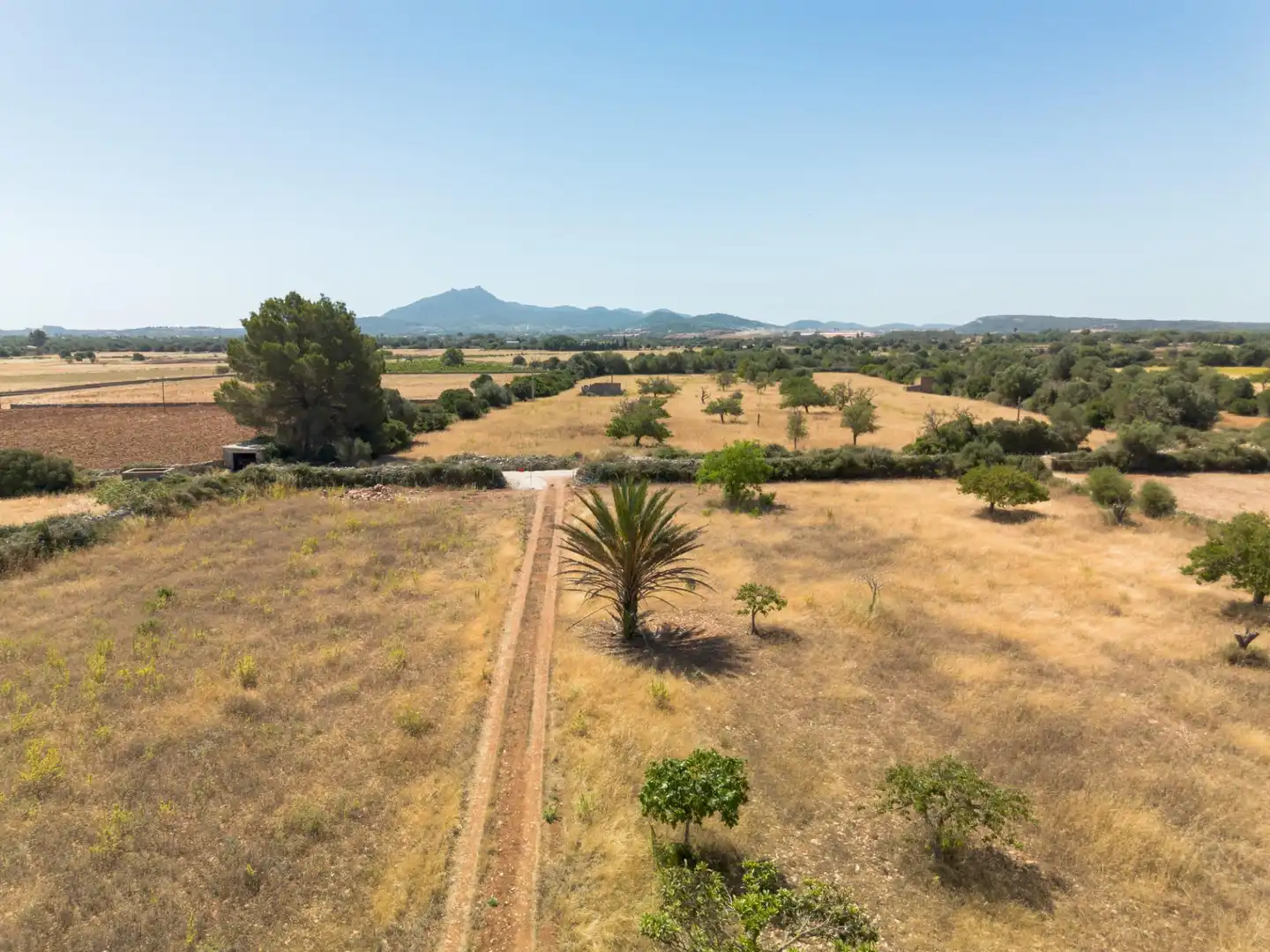 Finca rústica en venda en Felanitx amb Terrassa
