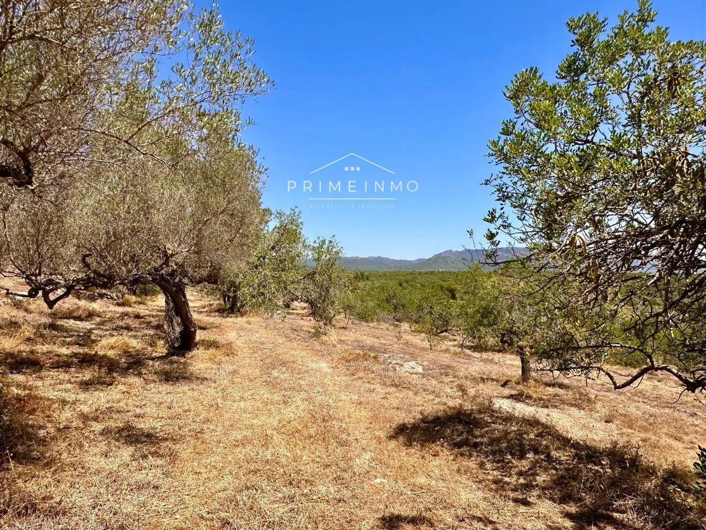 Finca rústica en venta en L'Ametlla de Mar 
