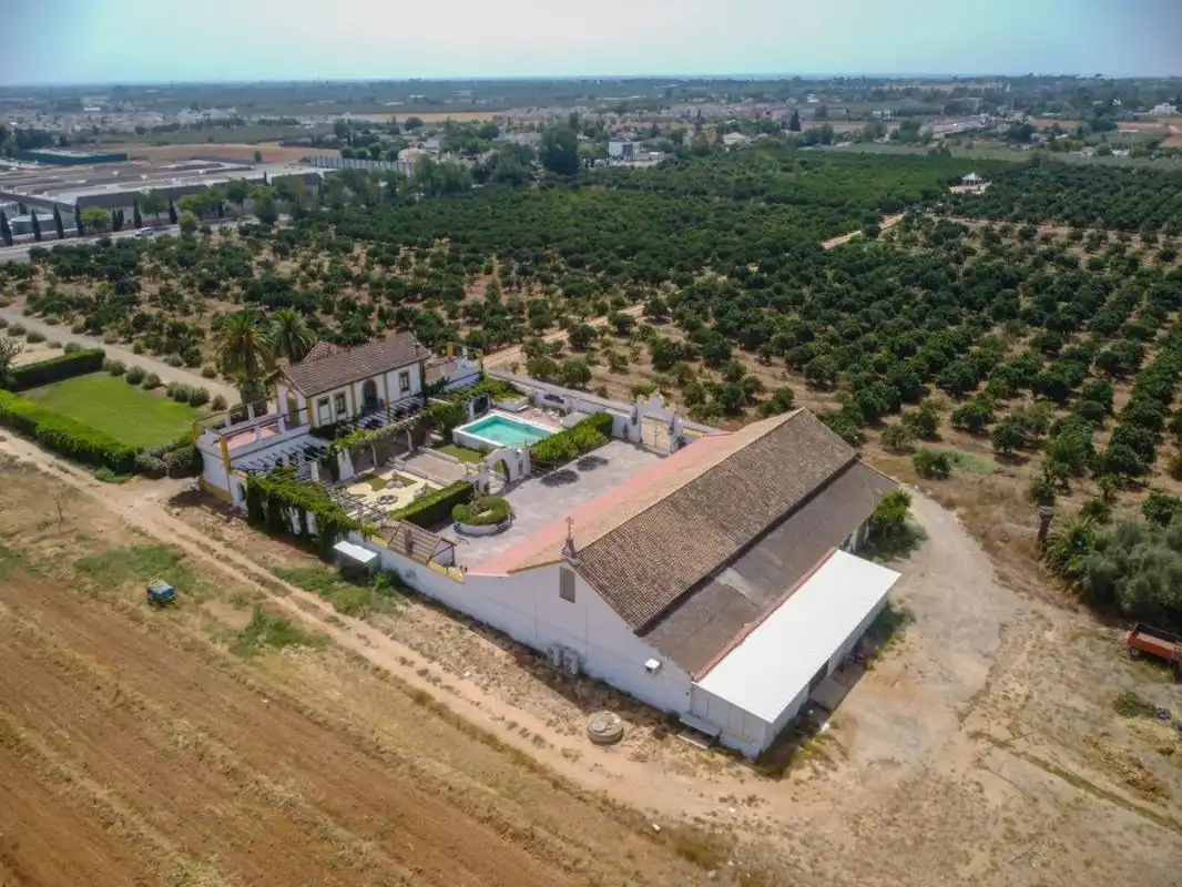 Vista exterior de Casa o xalet en venda en Espartinas amb Calefacció, Jardí privat i Terrassa