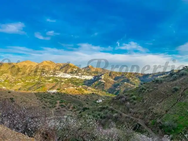 Terreni e lotti in vendita a Árchez, imagen 3