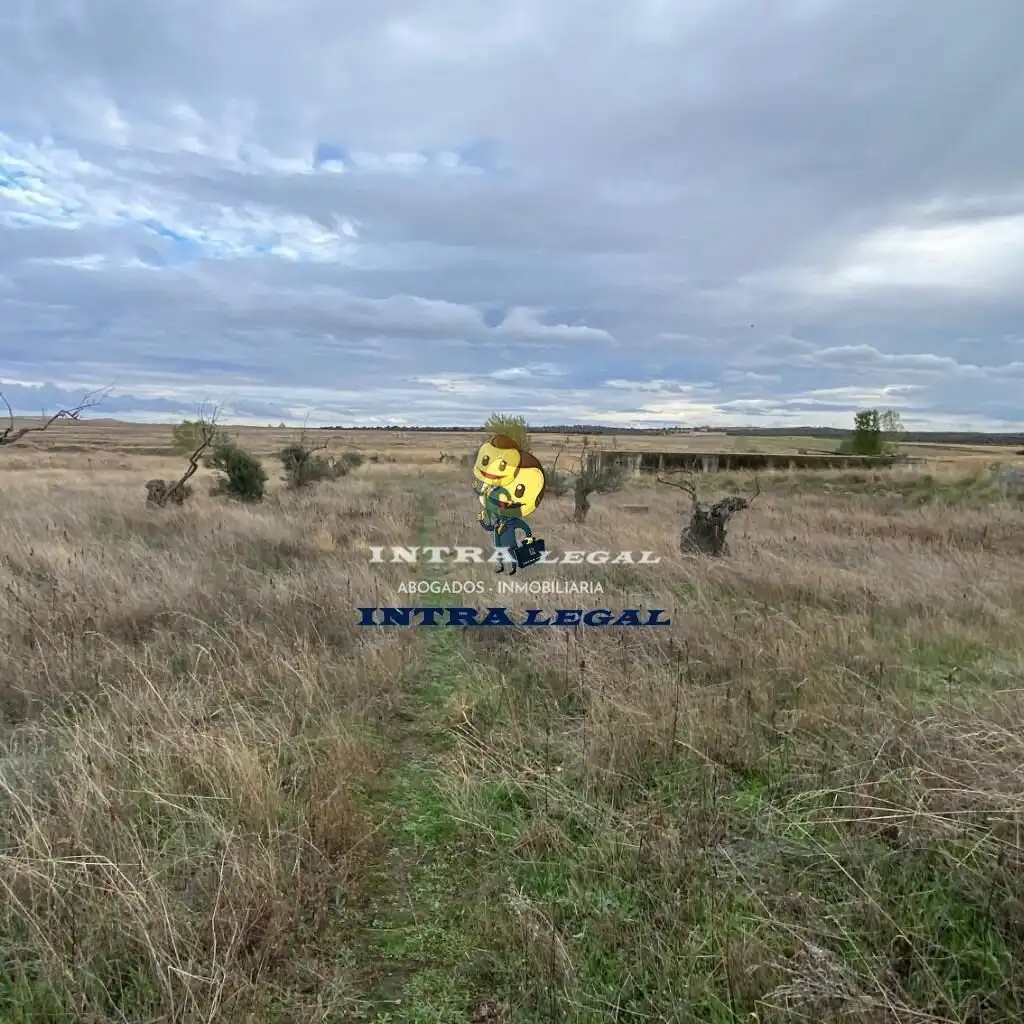 Land for sale in Miranda de Azán