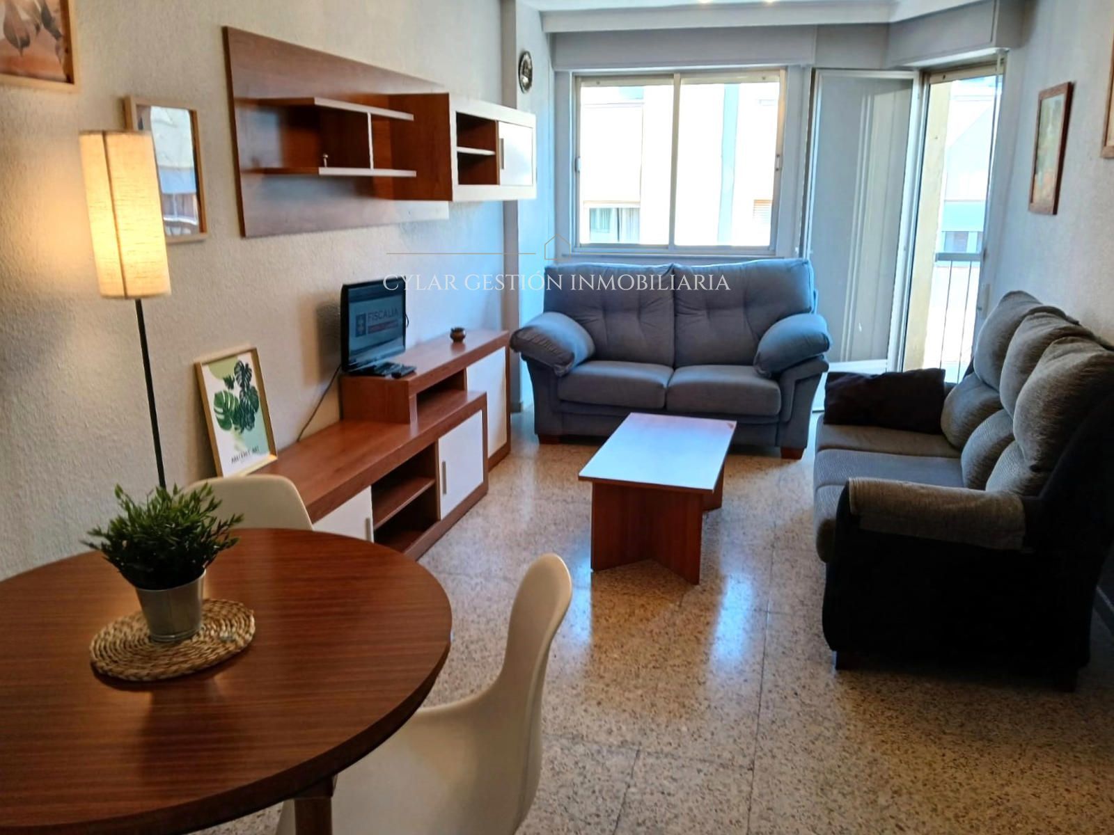 Sala d'estar de Pis de lloguer en Salamanca Capital amb Calefacció, Terrassa i Moblat