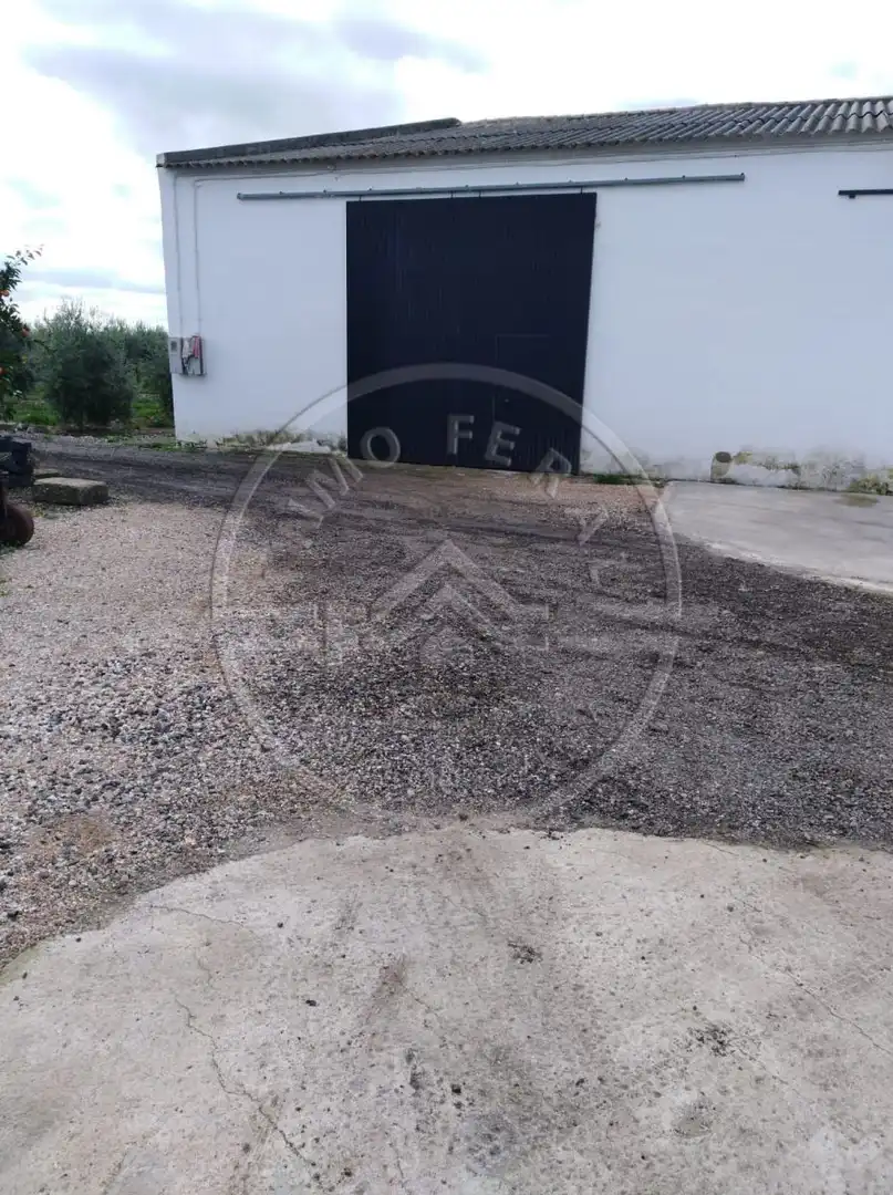 Terreny rústic en venda a Fuente Palmera, imagen 19