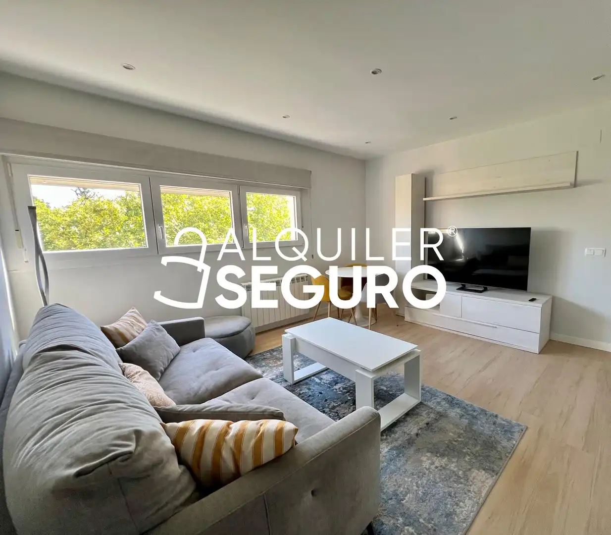 Living room of Flat for rent in Madrid  with Air Conditioner, Heating and Furnished