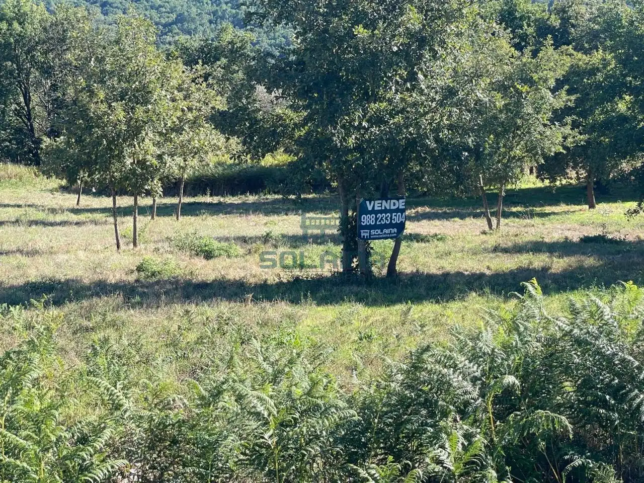 Terreno residencial en venta en Allariz, imagen 5
