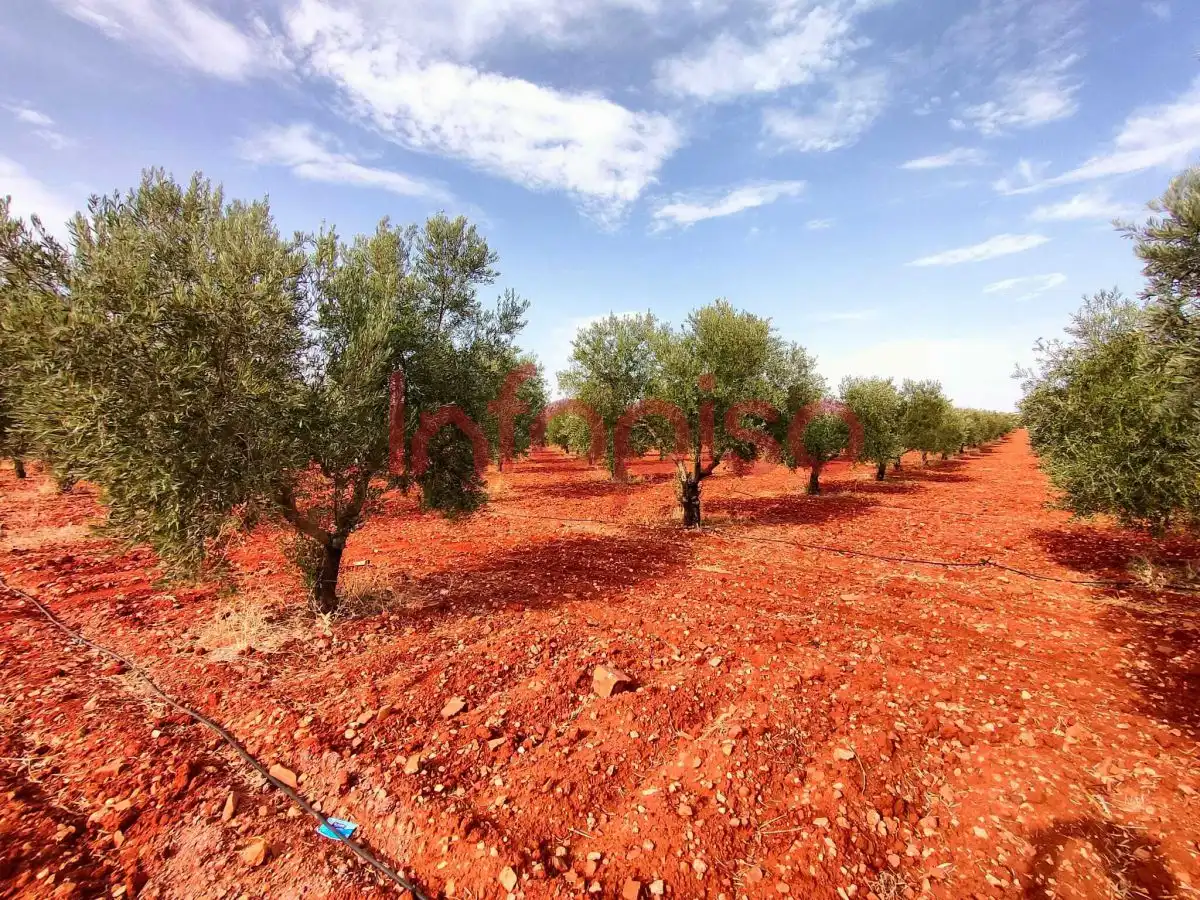 Casa rústica en venda a Valdepeñas