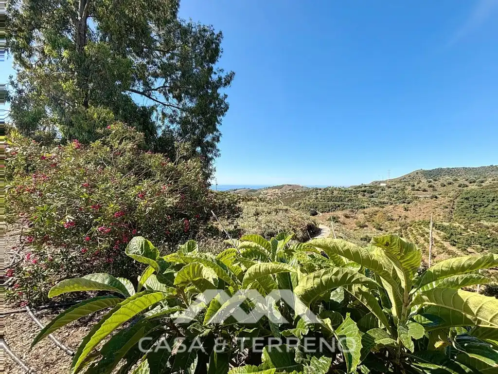 Vista exterior de Casa o xalet en venda en Vélez-Málaga amb Aire condicionat, Jardí privat i Terrassa