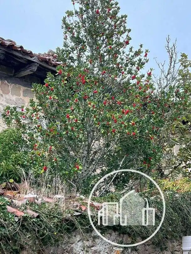 Garden of Houses for sale in Valderredible