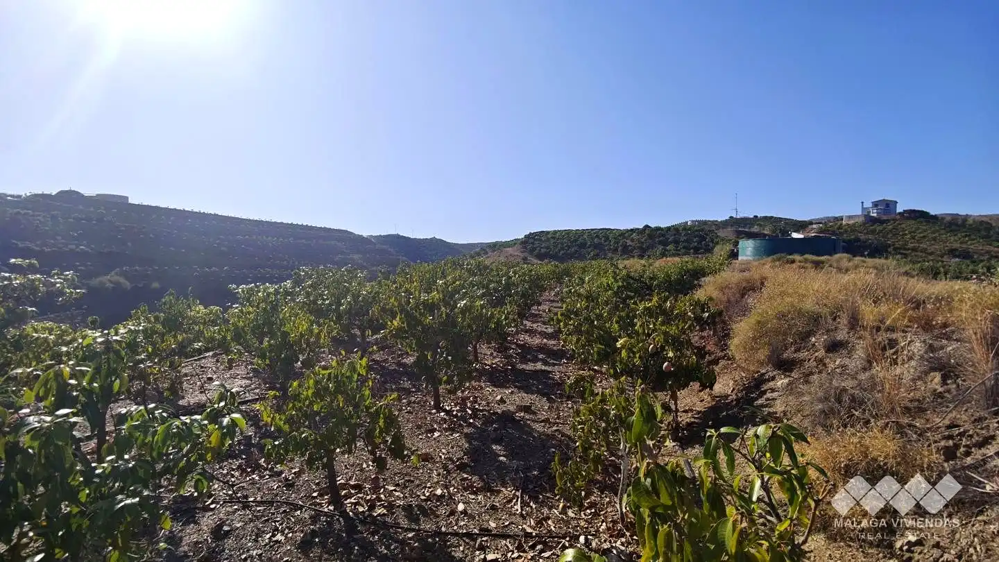 Terreno rústico en venta en Diseminado Atalaya Baja, imagen 8