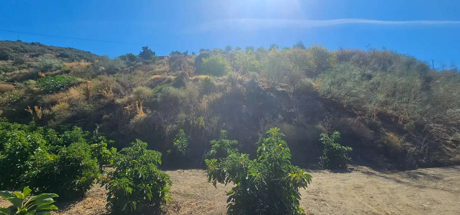 Casa rústica en venta en Vélez-Málaga ciudad, imagen 10
