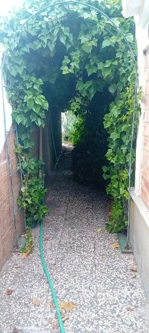 Finca rústica en venda en Alfajarín amb Calefacció, Jardí privat i Terrassa