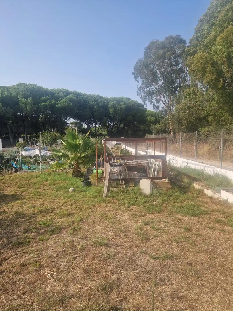 Country homes for sale in Puerto Real  with Private garden and Swimming Pool