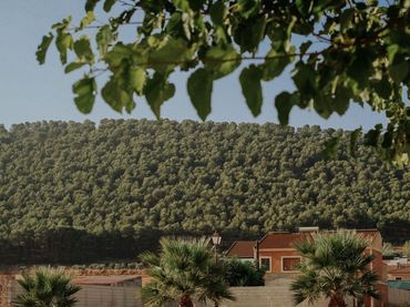 Lands and plots for sale in Humilladero