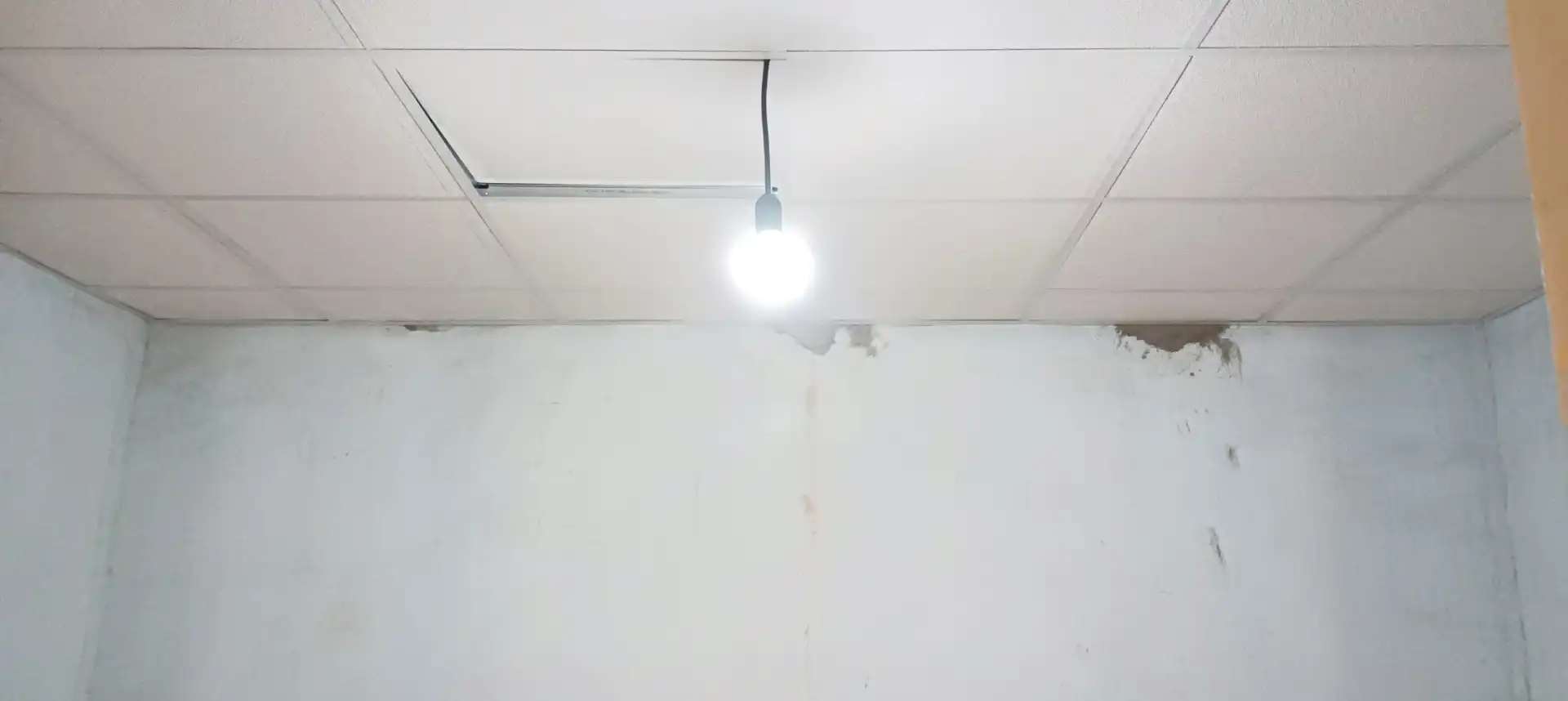 Casa rústica amb jardí en venda a Pedanías Oeste, imagen 4