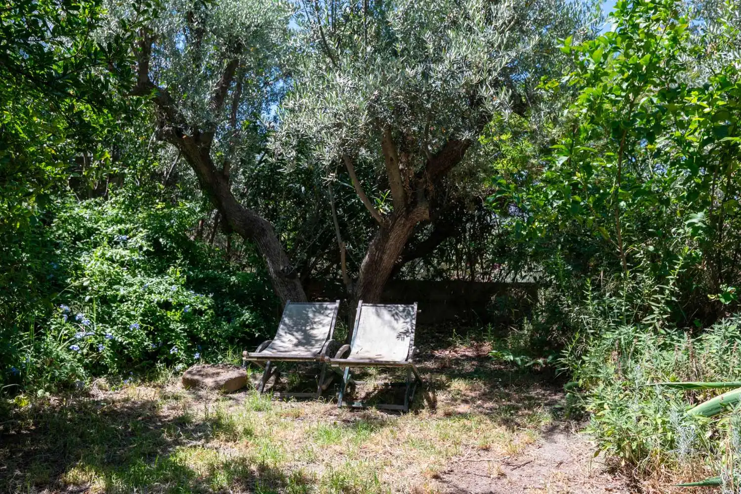 Jardí de Finca rústica en venda en Lecrín amb Piscina