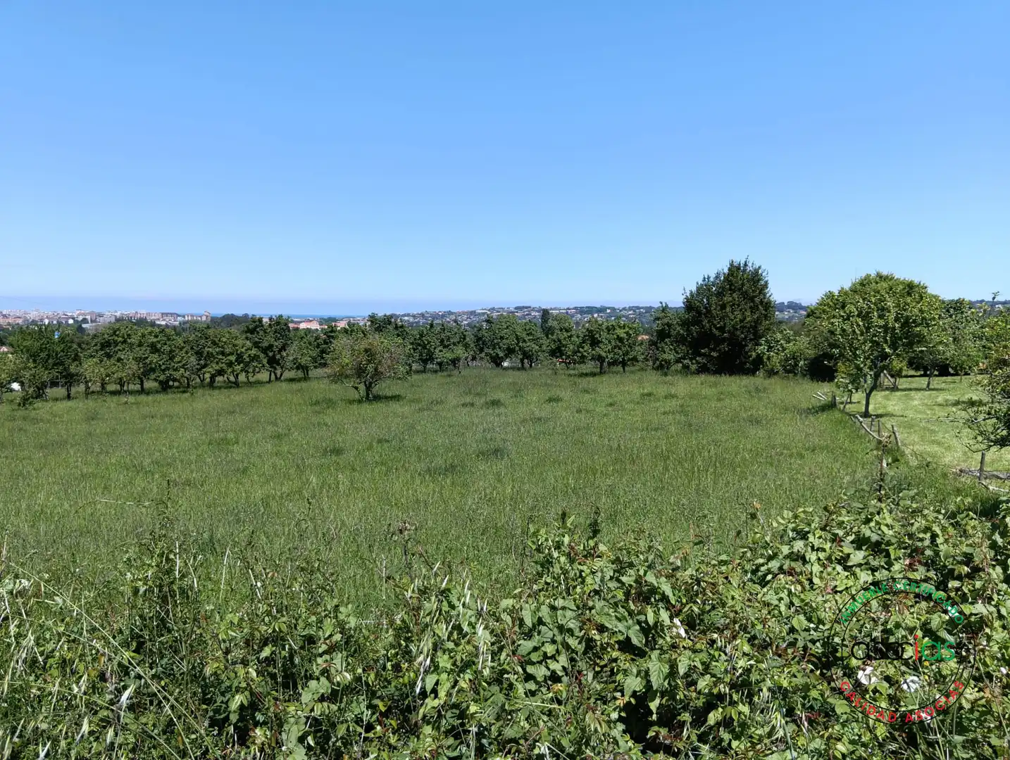 Terreno residencial en venta en Camin de la Nisal 805, imagen 6