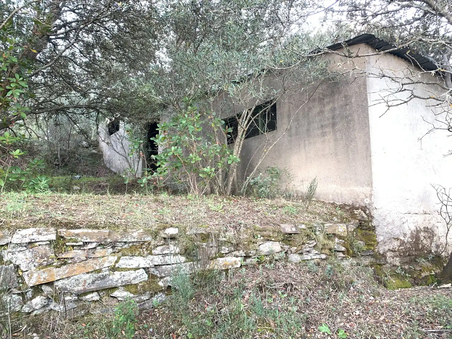 Country homes for sale in N/A, Zona Norte - Hospital - Urbanizaciones