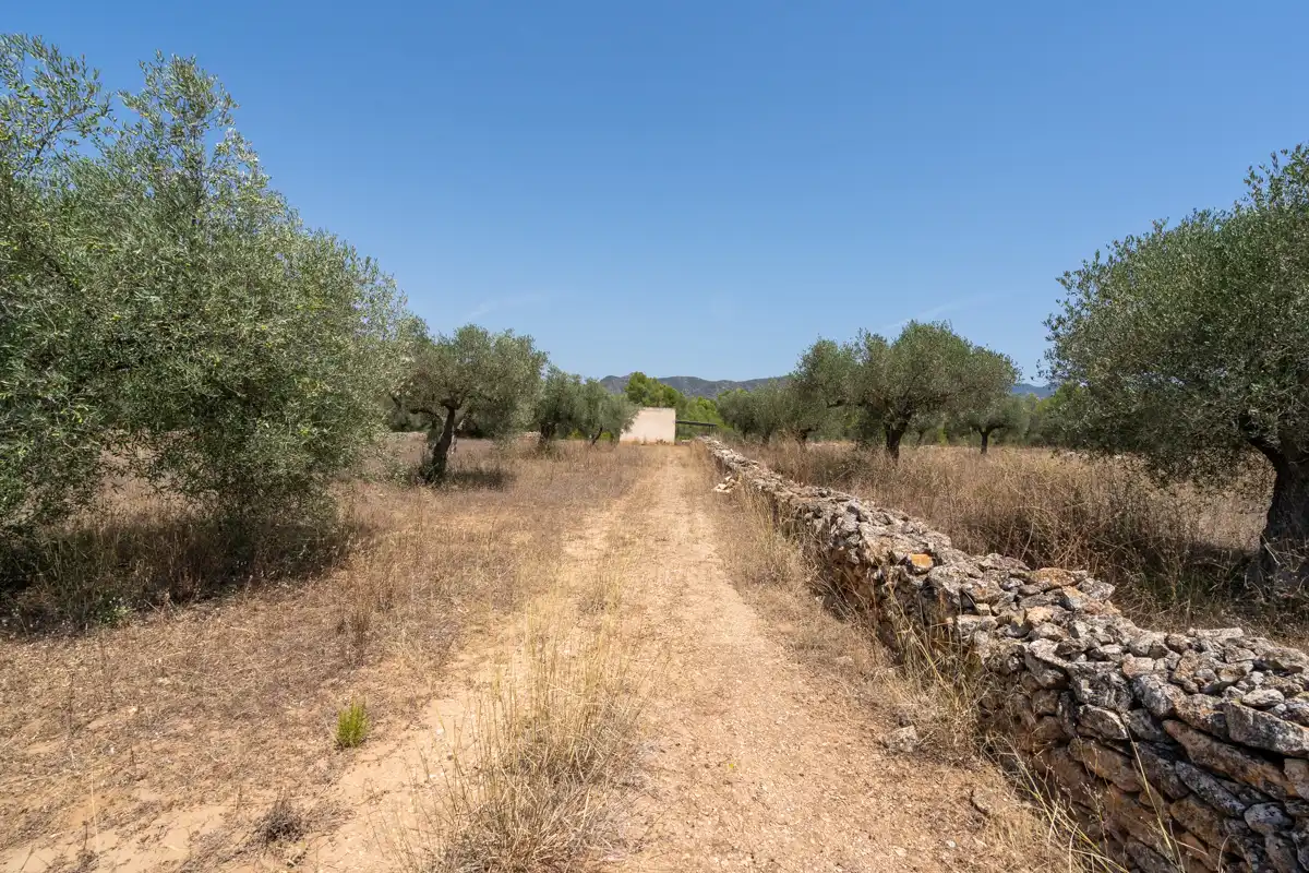 Rural land for sale in C-12 77, imagen 20
