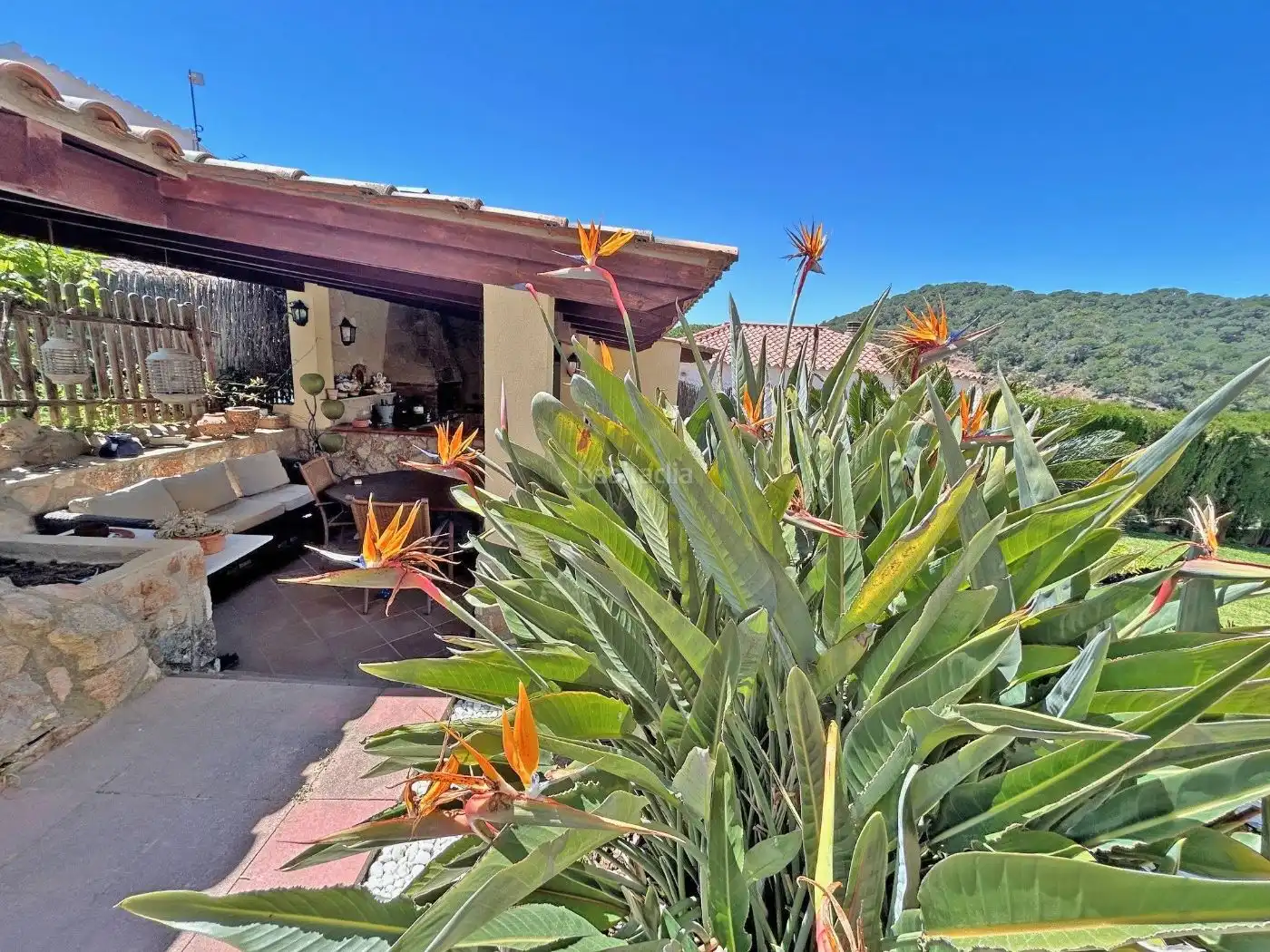 House with garden for sale in Carrer Leipzig 6, imagen 3